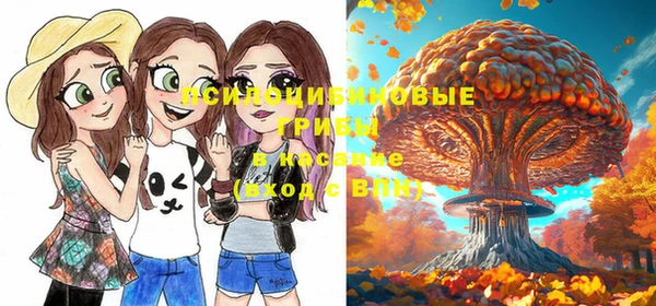 a pvp Абаза