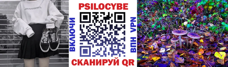 Псилоцибиновые грибы MAGIC MUSHROOMS  закладка  Иланский 